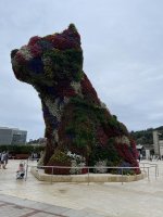 IMG_0072.jpeg