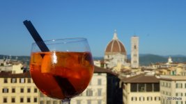 0919 Florenz - Dachterrasse Grand Hotel Minerva.jpg