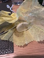 IMG_2783.jpeg