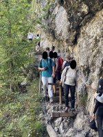 IMG_1638.JPEG IMG_1638.JPEG