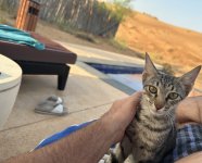 IMG_7461.jpeg