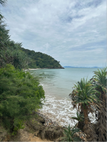 1698580026278.png 1698580026278.png