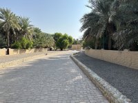 IMG_7760.jpeg