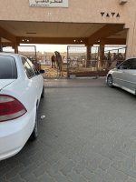 IMG_7803.jpeg
