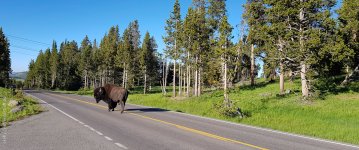 20180704_072954.jpg