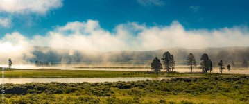 _DSC0101.jpg