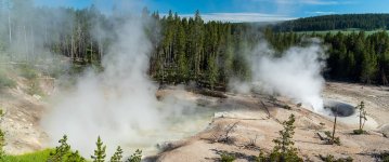 _DSC0146.jpg