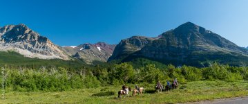 _DSC0357.jpg