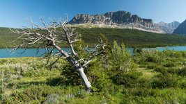 _DSC0369.jpg