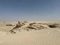 IMG_7965.jpeg