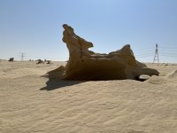 IMG_7993.jpeg