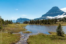 _DSC0464.jpg