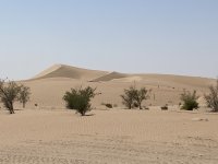 IMG_6366.jpeg