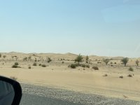 IMG_6376.jpeg
