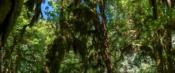 _DSC1235-HDR.jpg