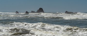 _DSC1282.jpg