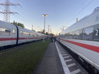 IMG_7321.jpeg