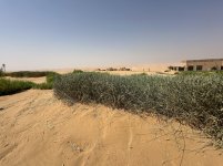 IMG_8301.jpeg