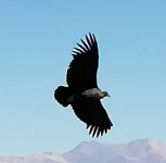 IMG_20230501_180453.jpg