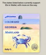 1704362251841.png