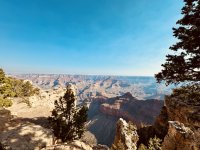 IMG_4769.jpeg IMG_4769.jpeg