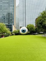 IMG_4911.jpeg IMG_4911.jpeg