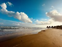 IMG_5049.jpeg IMG_5049.jpeg