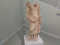 1706262506641.jpeg