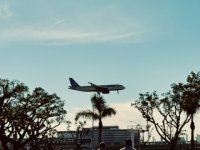 IMG_5442.JPEG IMG_5442.JPEG