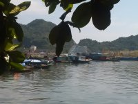 IMG_20171014_115323.jpg