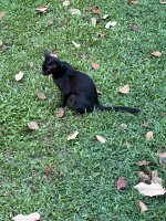 IMG_7792.jpeg IMG_7792.jpeg