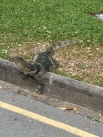 IMG_7795.jpeg IMG_7795.jpeg