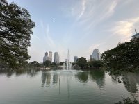 IMG_7799.jpeg IMG_7799.jpeg