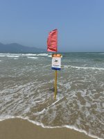 IMG_7853.jpeg IMG_7853.jpeg