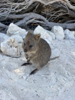 IMG_1008.jpeg IMG_1008.jpeg