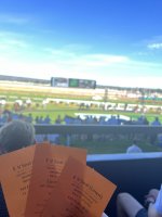 IMG_1165.jpeg IMG_1165.jpeg