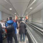 432236456_7163689773738007_5136459833049796372_n_7163663440407307.jpg 432236456_7163689773738007_5136459833049796372_n_7163663440407307.jpg