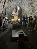 IMG_7941.jpeg IMG_7941.jpeg