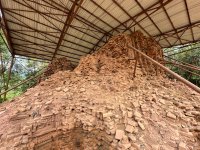 IMG_7915.jpeg IMG_7915.jpeg