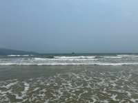 IMG_7977.jpeg IMG_7977.jpeg