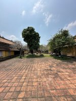 IMG_8099.jpeg IMG_8099.jpeg