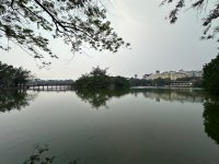 IMG_8142.jpeg IMG_8142.jpeg