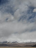 IMG_20240407_140734.jpg