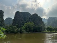 IMG_8331.jpeg IMG_8331.jpeg