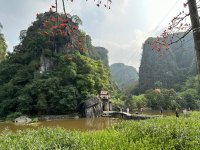 IMG_8341.jpeg IMG_8341.jpeg