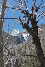 IMG_20240409_121836.jpg