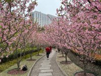 IMG_8430.jpeg IMG_8430.jpeg