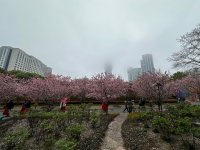 IMG_8436.jpeg IMG_8436.jpeg