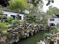 IMG_8460.jpeg IMG_8460.jpeg