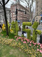 IMG_8538.jpeg IMG_8538.jpeg